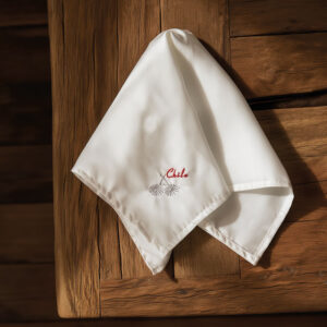 Pañuelo Folclórico Hombre Bordado