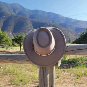 Sombrero Indiana Paño